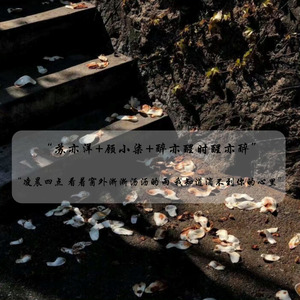 现在你在哪 过得怎么样