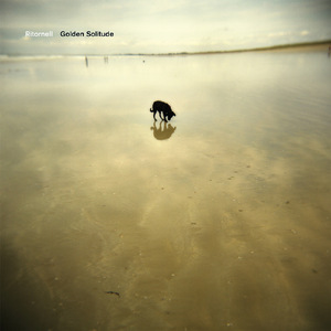 Golden Solitude Pt.2