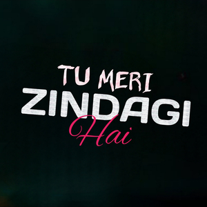Tu Meri Zindagi Hai