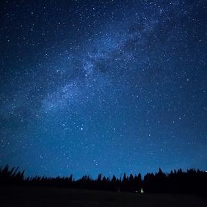 人狼の為の子守唄