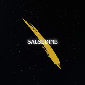 Salsedine