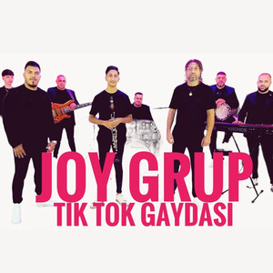 Tik Tok Gaydasi
