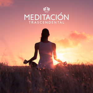 Meditación Visual