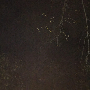 боли больше нет