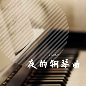 夜的钢琴曲