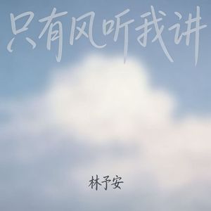 只有风听我讲
