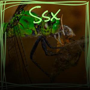 Ssx