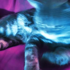 牛逼喊的最响的人一定最**（cover by 反复攻击小明）