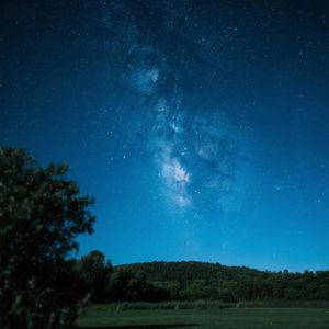 春风细语绕青丝