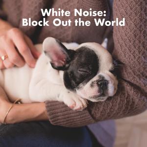 Aeroplane Cabin White Noise