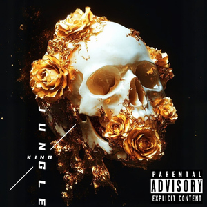 丛林之王JUNGLE KING