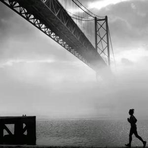 LOTUS（prod by T.A.）