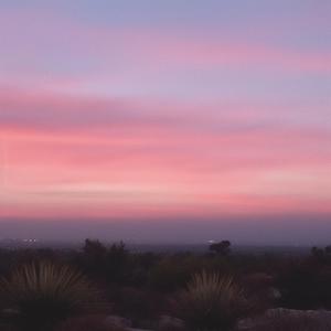 Is This How The World Ends?