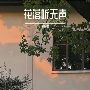 花落听无声