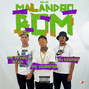 Malandro Bom