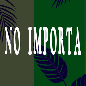 no importa