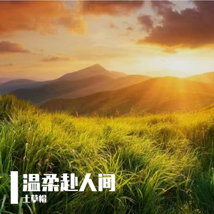 长风吹韶华