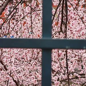 人生修行与思念