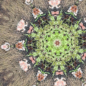 Heals the spirit, on sacred ground