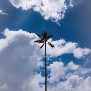 【Free】橘 色 沙 滩