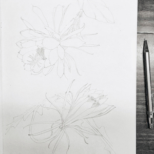 免费伴奏Free beat Bus Love