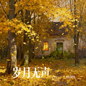 岁月无声