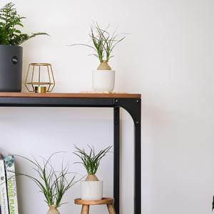 《长命女·春日宴》 翻自：赵清持