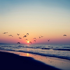 来不及说爱你 (DJ版)