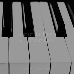 Sun Kissed Reflections