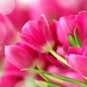 大家还是感到 (7)