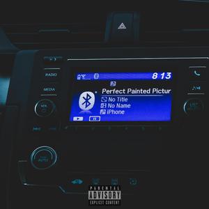 Perfect Painted Picture - Radio Edit