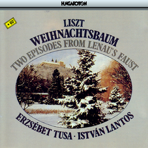 2 Episoden aus Lenaus Faust, S. 599/R. 325:No. 1, Der nachtliche Zug