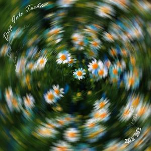 隐君子 Addicted To You