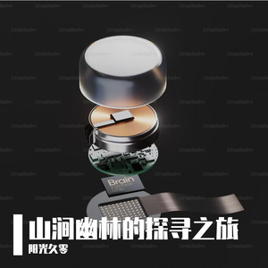 迷失旅途与温柔港湾