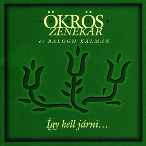 Ördöngősfüzesi: Cigánykeserves És Gyors Csárdás