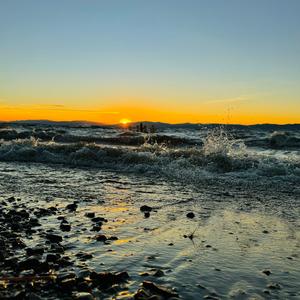 我在这里度过了一生中所有的春天