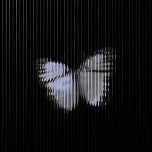 What is the love（Beat）