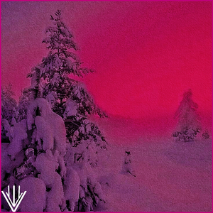 Snowy night