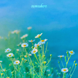 sumwhere