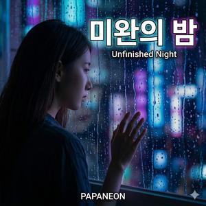 미완의 밤