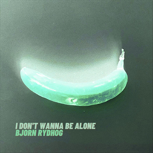 I Don't Wanna Be Alone