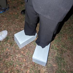 Bananas (bingo edit)