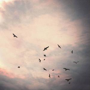 ALL THE BEST MEMORIES