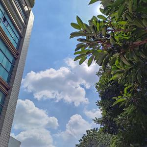 我是图图小淘气16573103703751