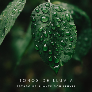 Lentas Lluvias
