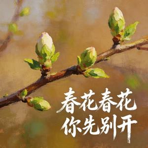 春花春花你先别开