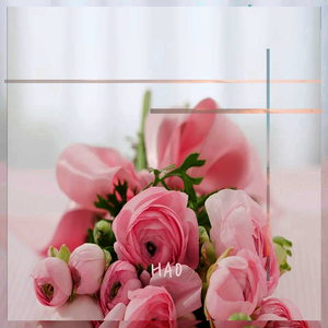 길을 걸으면 보이는 하얀 얼굴