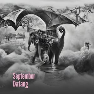 September Datang