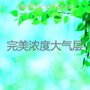安静的焦点声音