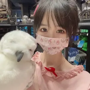 失眠的夜（Live）